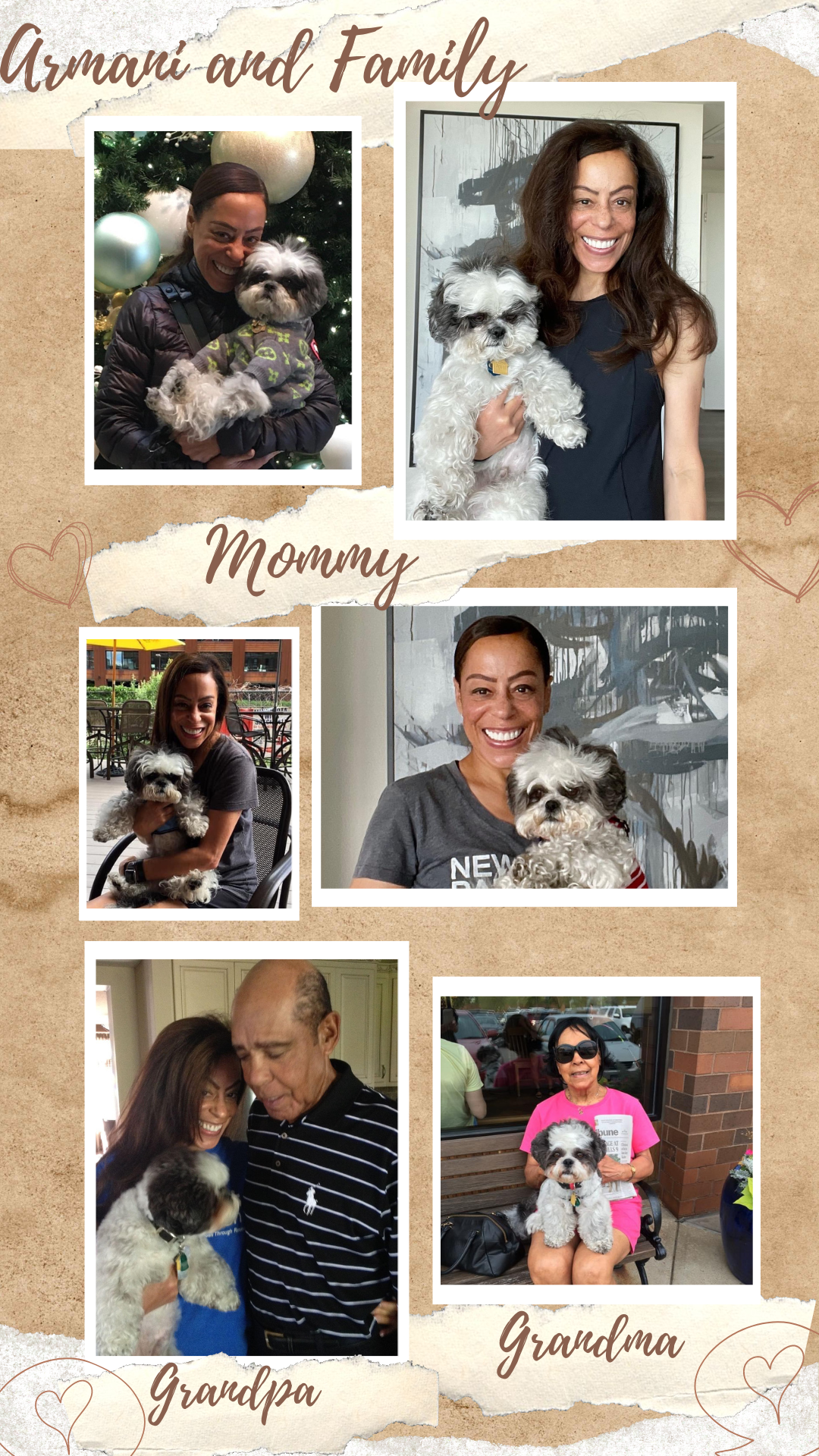White and Grey "Teddy bear puppy" Collage. Pictures are of Armani and mom, grandma and grandpa