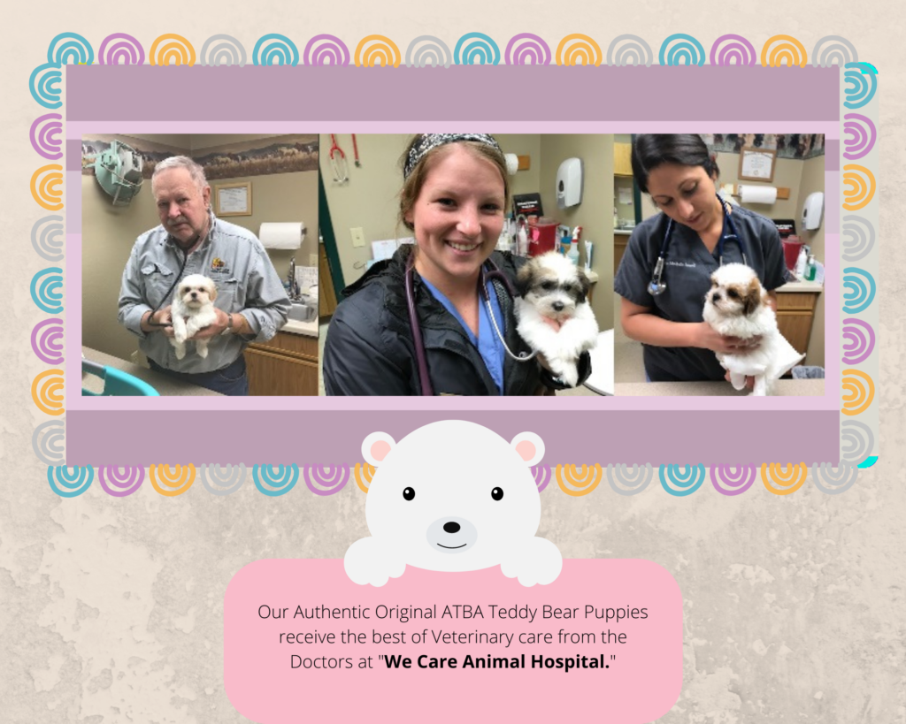 We Care Animal Hospital Vert, teddybearpuppy.com